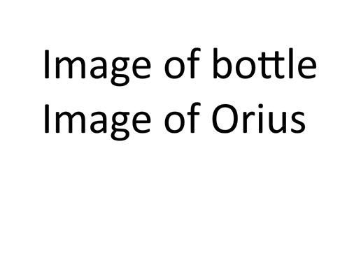 Orius insidious Nymphs 2K